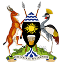 Graduate Trainee Opportunities